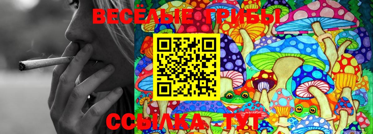 Аргун  Галлюциногенные грибы MAGIC MUSHROOMS  Вход с VPN 
